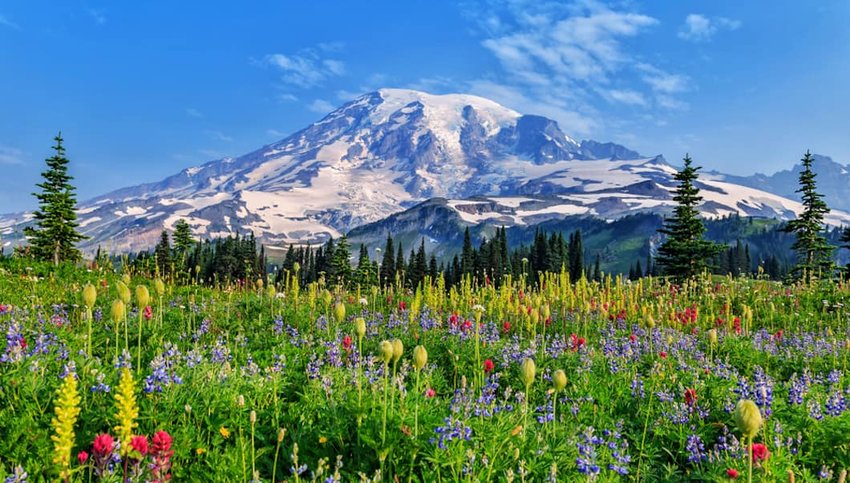 Washington Mt Ranier